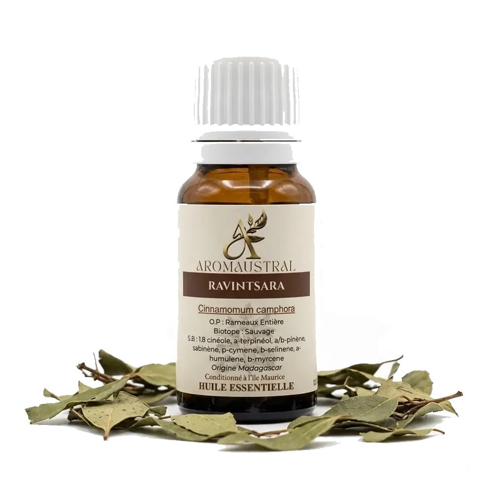 Huile Essentielle de Ravintsara 10ml - Aromaustral by Aromanou